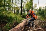 stihl-tronconneuse-ms-362-c-m-vw.jpeg