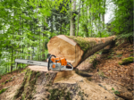 ms-881-63cm-rollo-es-404-rs-tronconneuse-thermique-stihl.jpeg